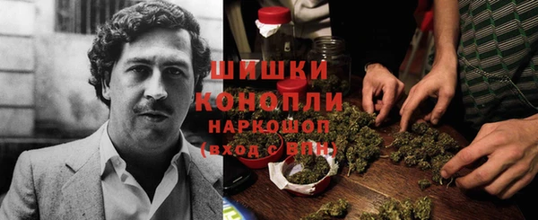 МДПВ Абдулино