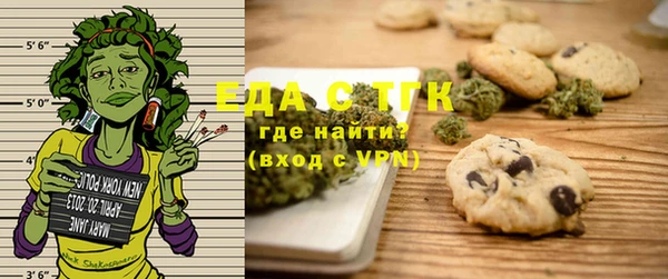 индика Абинск