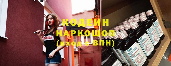 индика Абинск