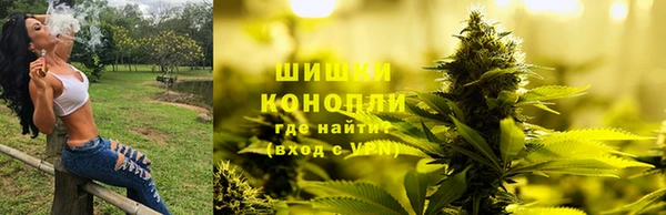 гидропоника Алзамай