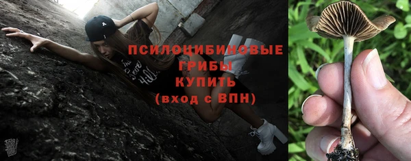 индика Абинск