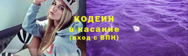 индика Абинск