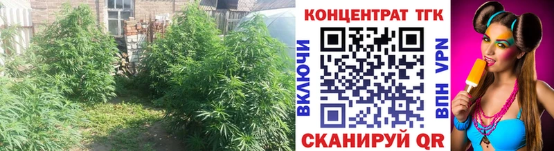 Дистиллят ТГК THC oil  кракен как зайти  Кызыл 